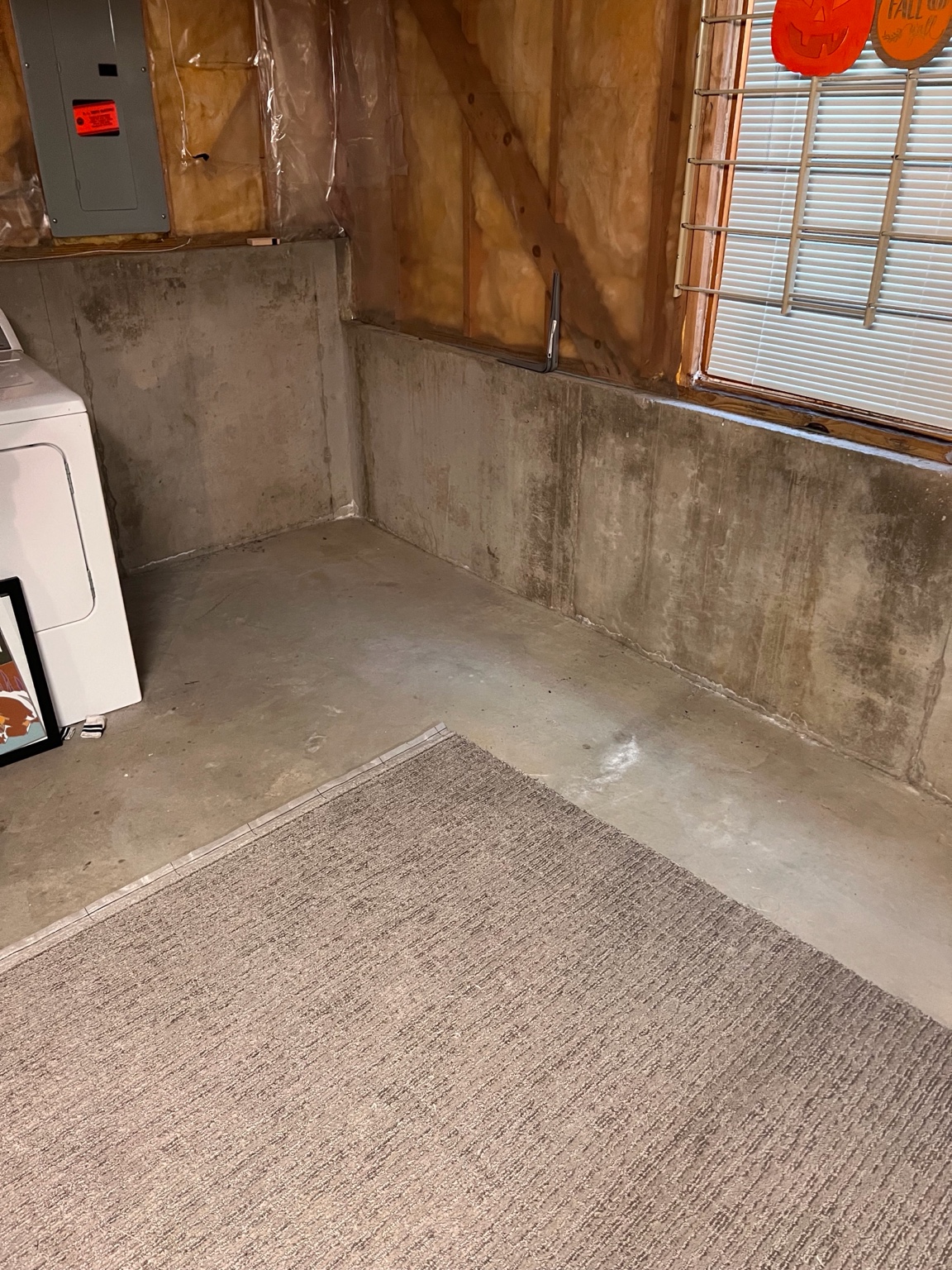 Basement after cleanout