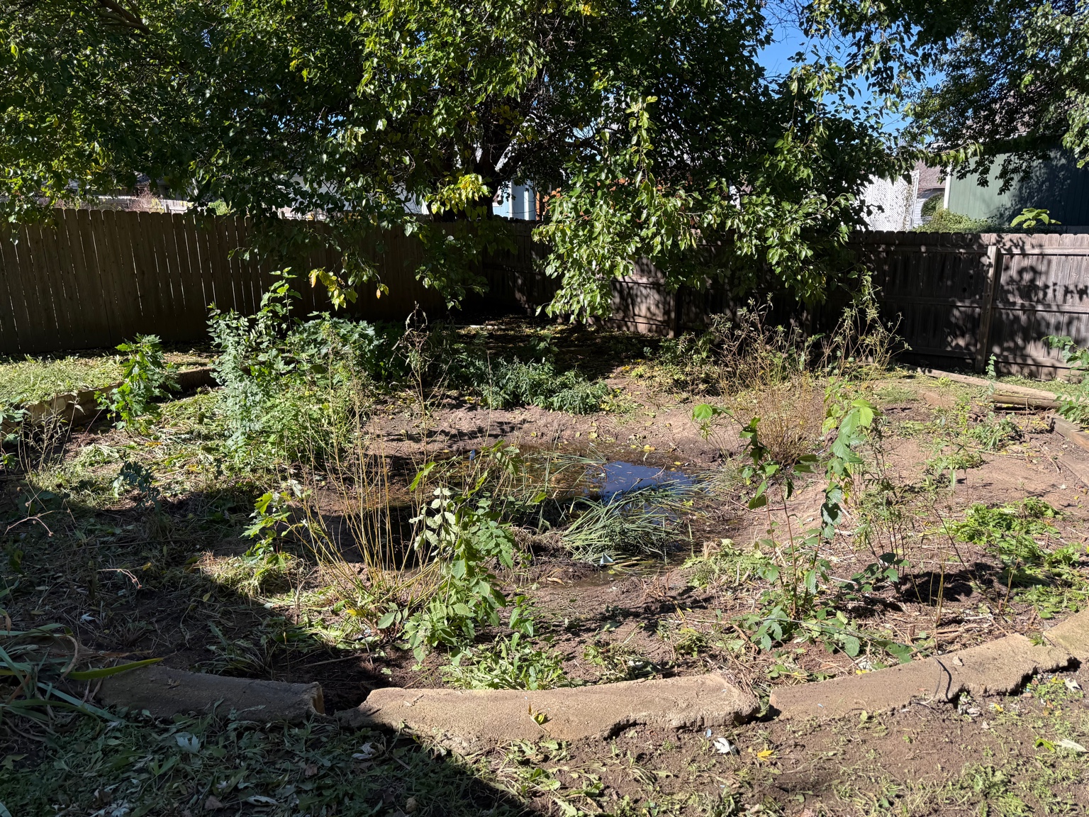 Pool area after cleanup